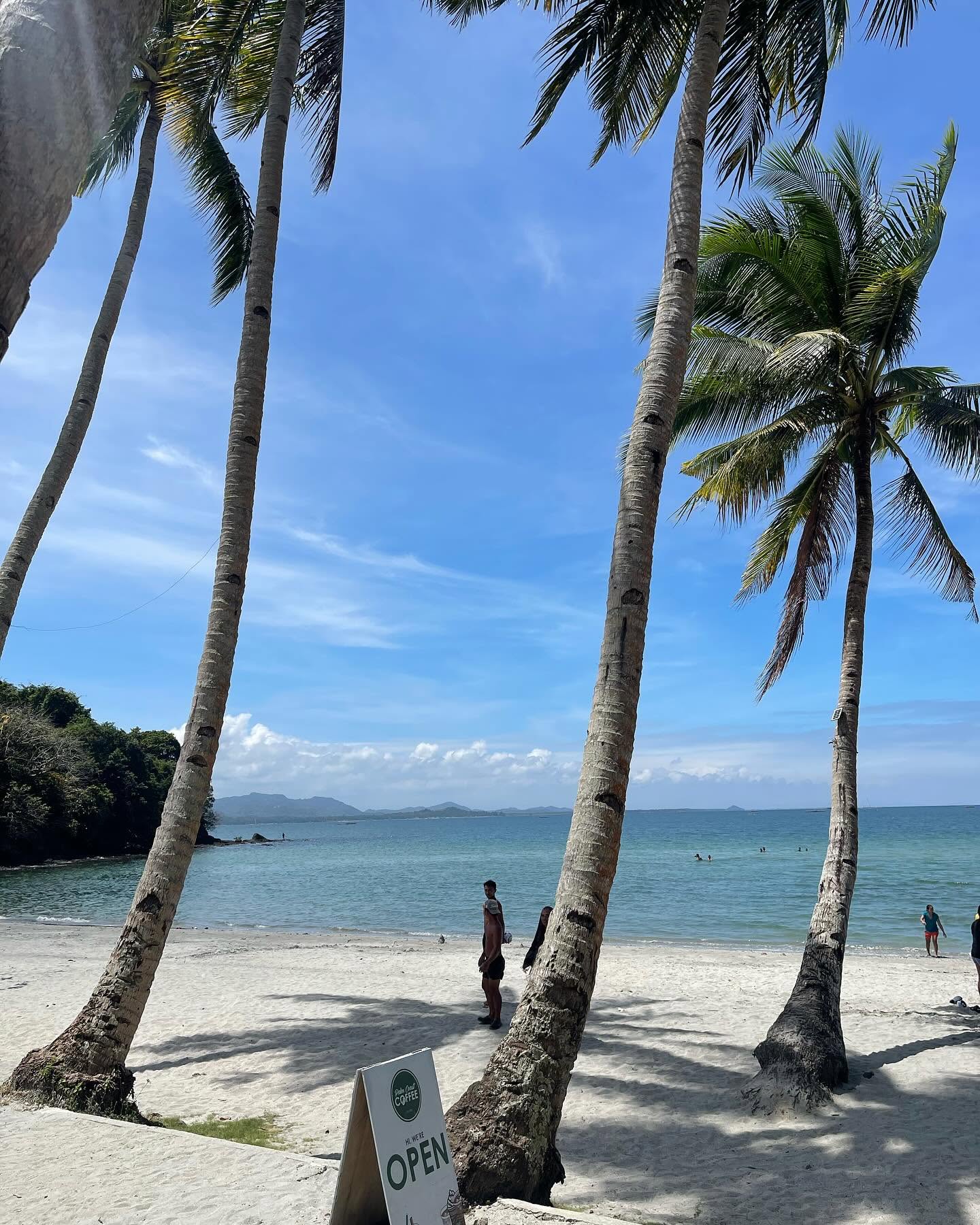 Tall coconut palms leaning over white sand and a calm turquoise sea