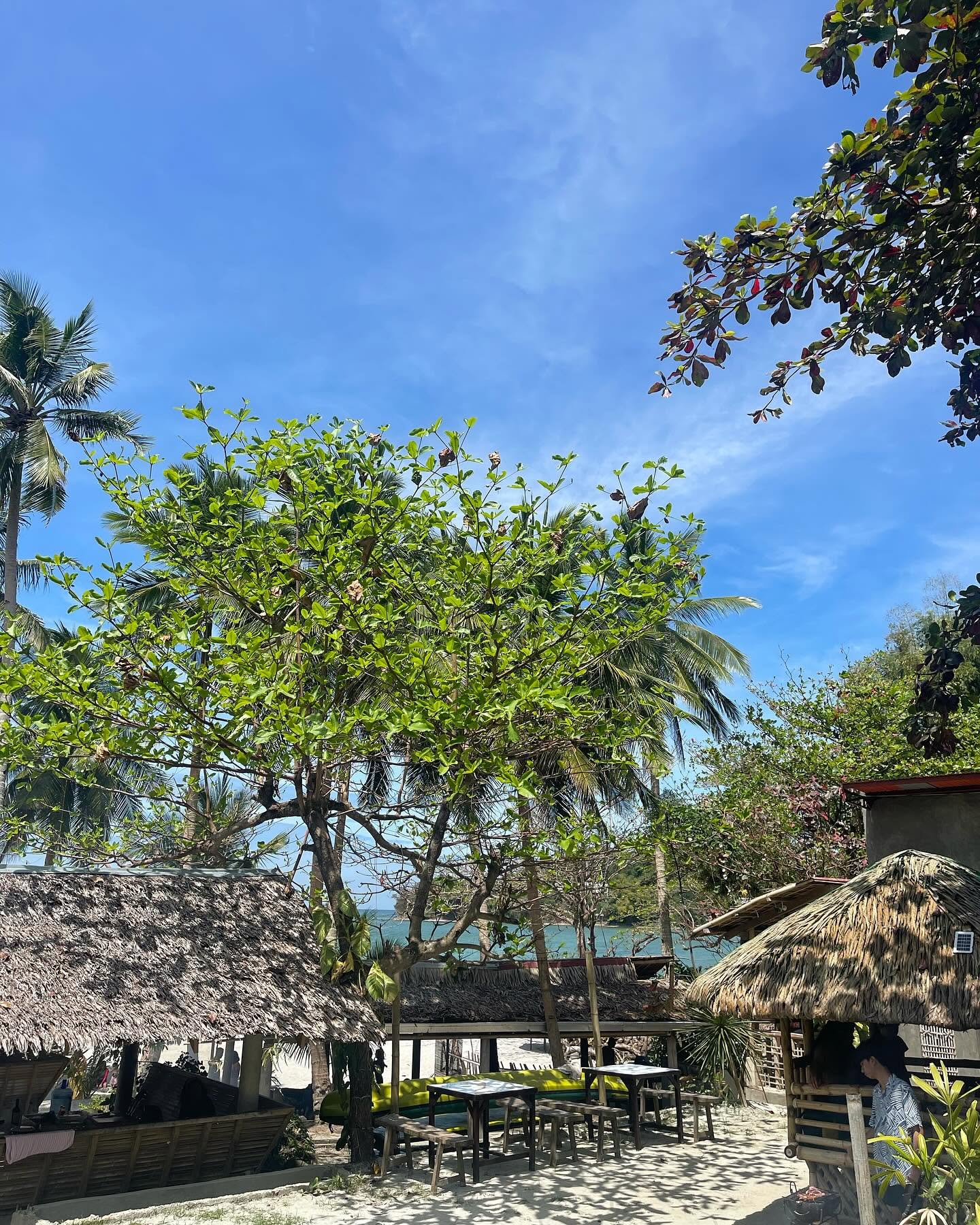 Real nipa cabanas at Palm Coast Beach Resort