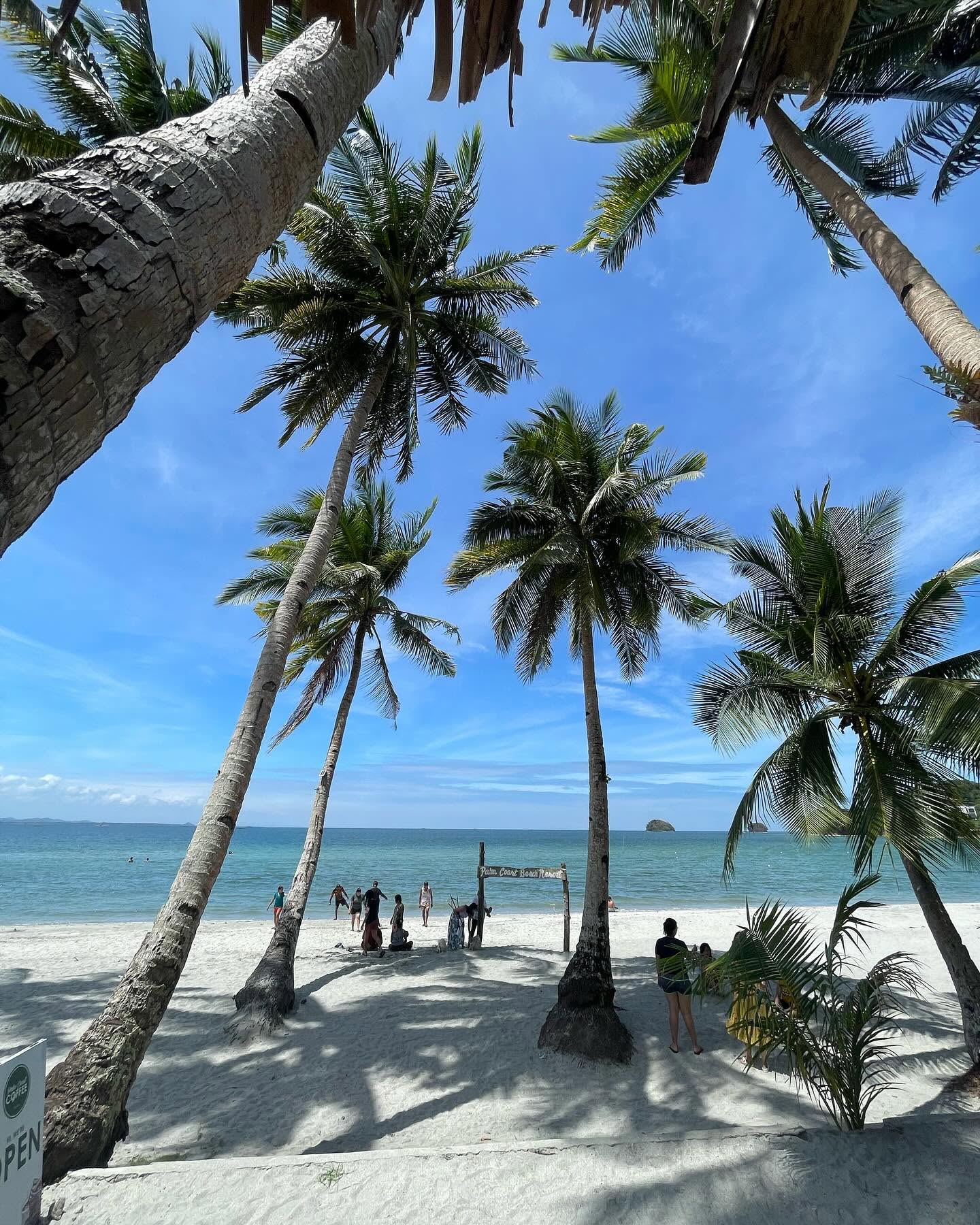 Coconut palms framing white sand and turquoise water at Palm Coast Beach Resort